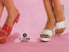 white1979